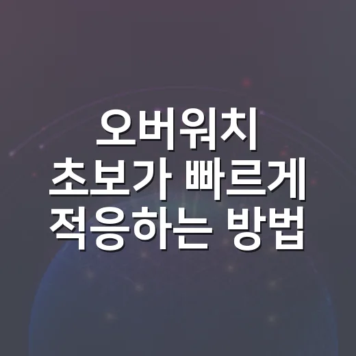 오버워치 초보가 빠르게 적응하는 방법: 영웅 선택부터 팀플레이까지 - 요약