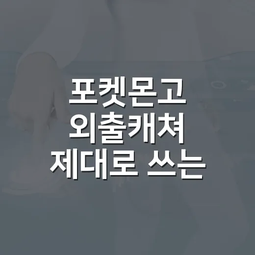 포켓몬고 외출캐쳐 제대로 쓰는 방법, 처음 사기 전에 확인할 것들 - 요약