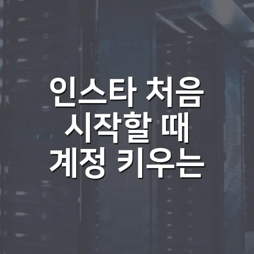 인스타 처음 시작할 때 계정 키우는 방법 - 요약