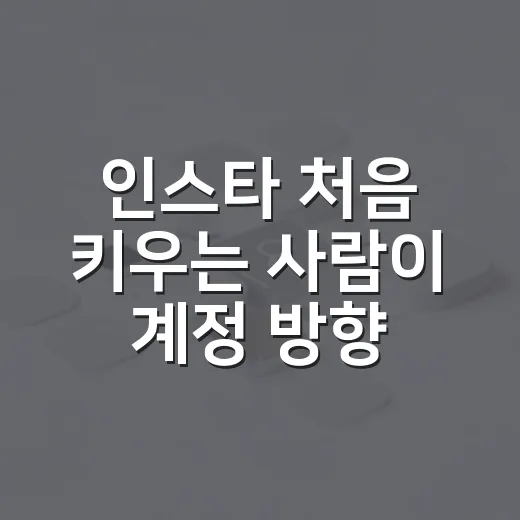인스타 처음 키우는 사람이 계정 방향 잡는 방법 - 요약