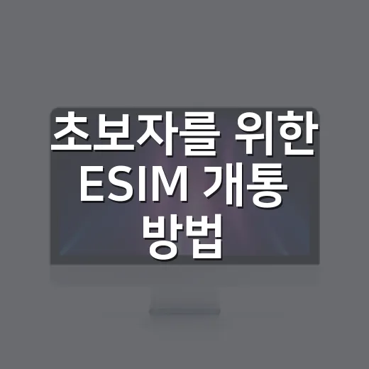 초보자를 위한 ESIM 개통 방법, 여행 전 꼭 확인할 것들 - 요약