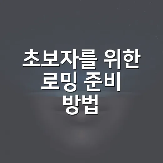 초보자를 위한 로밍 준비 방법, 해외 가기 전 이렇게 챙기면 덜 당황해요 - 요약