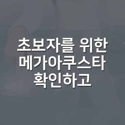 초보자를 위한 메가아쿠스타 확인하고 준비하는 방법 - 요약