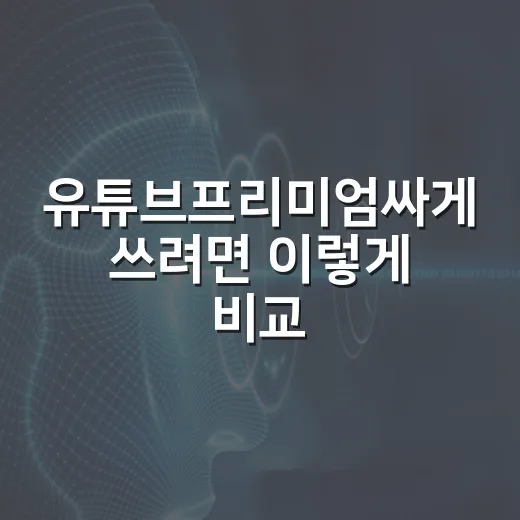 유튜브프리미엄싸게 쓰려면 이렇게 비교해보세요 - 요약