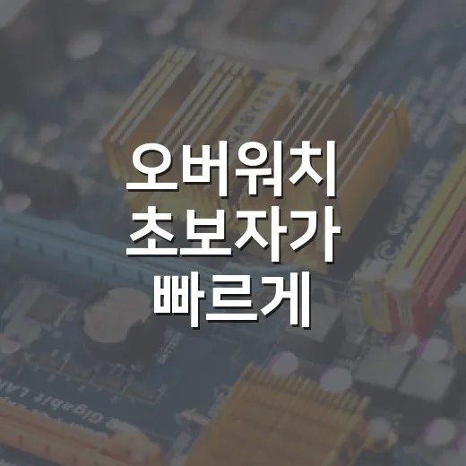 오버워치 초보자가 빠르게 적응하는 방법 - 요약
