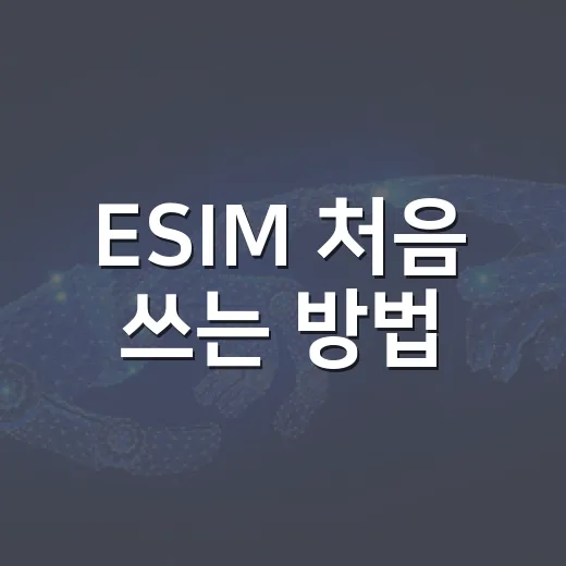 ESIM 처음 쓰는 방법, 여행 전 10분이면 충분해요 - 요약