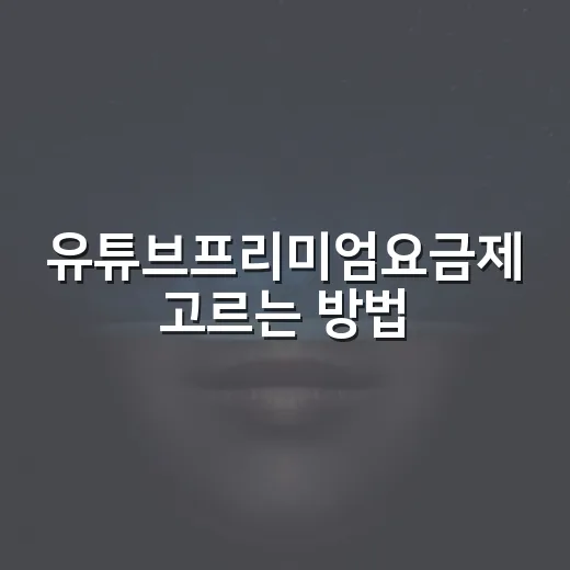 유튜브프리미엄요금제 고르는 방법, 라이트와 일반형 차이부터 보면 쉽습니다 - 요약