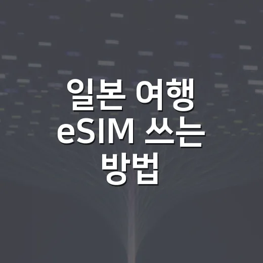 일본 여행 eSIM 쓰는 방법, 출국 전 설정부터 현지 연결까지 - 요약