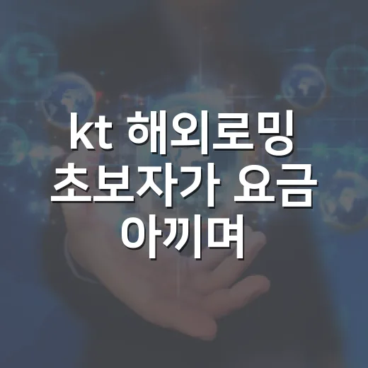 kt 해외로밍 초보자가 요금 아끼며 신청하는 방법 - 요약