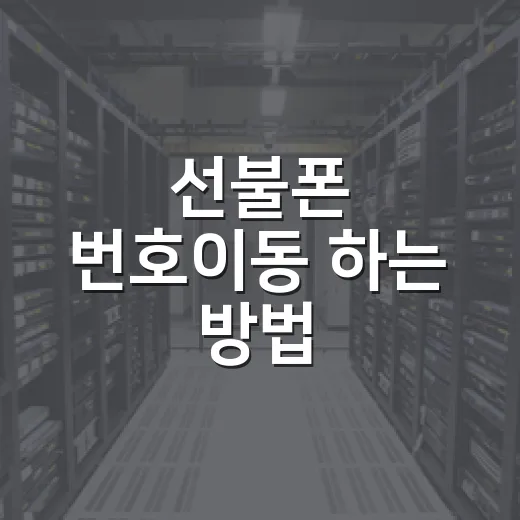 선불폰 번호이동 하는 방법, 막히는 이유까지 쉽게 챙기기 - 요약