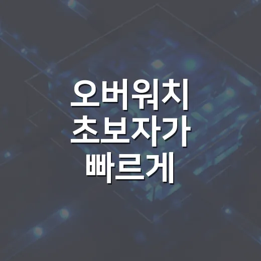 오버워치 초보자가 빠르게 적응하는 방법: 영웅 선택부터 팀플레이까지 - 요약