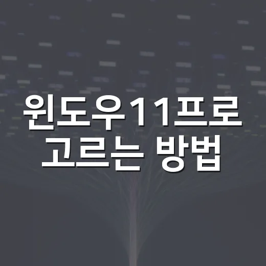 윈도우11프로 고르는 방법: 홈과 차이부터 설치 전 확인까지 - 요약