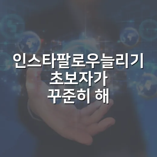 인스타팔로우늘리기 초보자가 꾸준히 해볼 만한 방법 - 요약