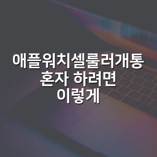 애플워치셀룰러개통 혼자 하려면 이렇게 준비하세요 - 요약