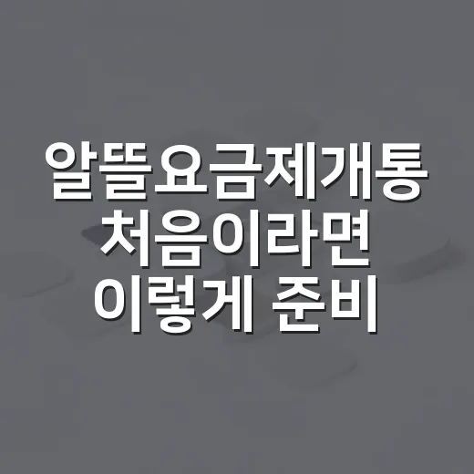 알뜰요금제개통 처음이라면 이렇게 준비하면 됩니다 - 요약