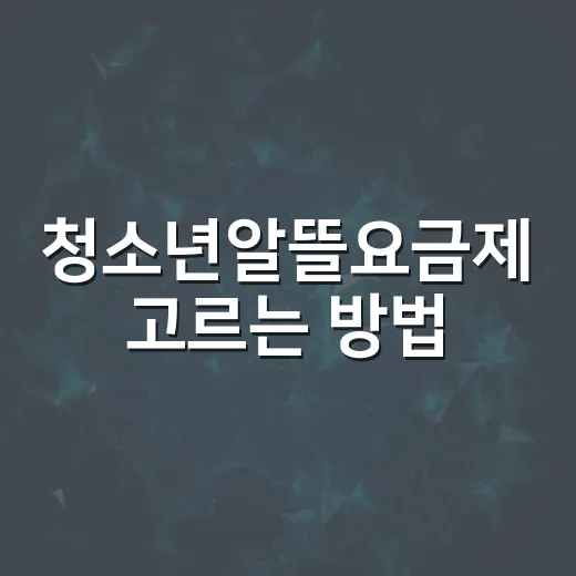 청소년알뜰요금제 고르는 방법, 부모님이 먼저 확인할 것들 - 요약