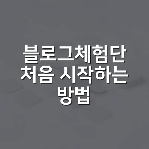 블로그체험단 처음 시작하는 방법, 선정률 높이는 준비부터 후기 작성까지 - 요약