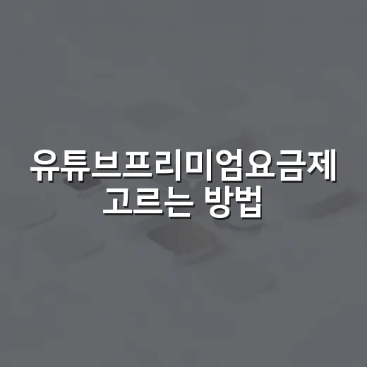 유튜브프리미엄요금제 고르는 방법, 월 8,500원부터 비교하기 - 요약