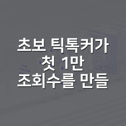 초보 틱톡커가 첫 1만 조회수를 만들려면 이렇게 시작하세요 - 요약
