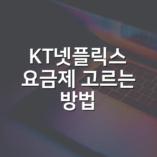 KT넷플릭스 요금제 고르는 방법, 휴대폰형과 TV형 나눠 보면 쉽습니다 - 요약