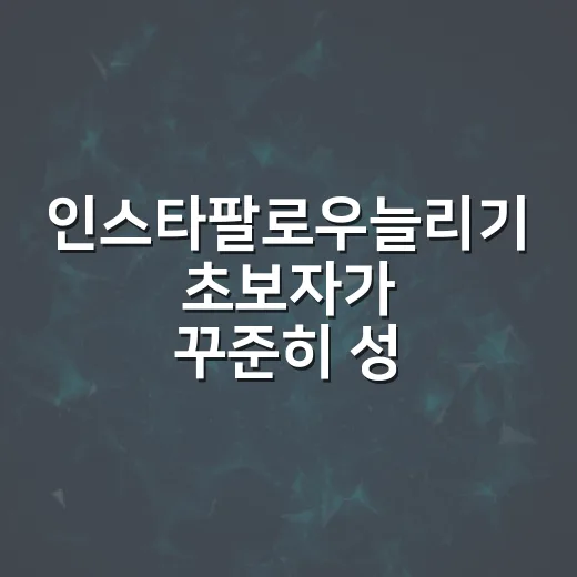 인스타팔로우늘리기 초보자가 꾸준히 성장하는 방법 - 요약