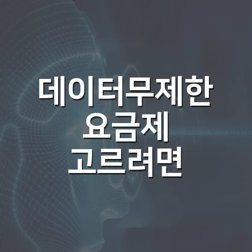 데이터무제한 요금제 고르려면 이렇게 확인하세요 - 요약
