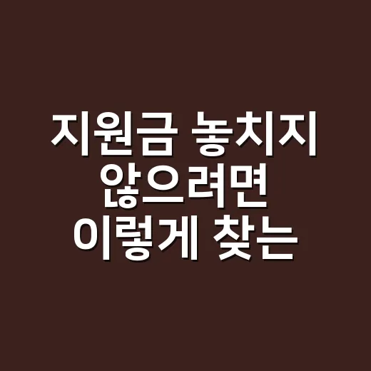 지원금 놓치지 않으려면 이렇게 찾는 방법 - 요약