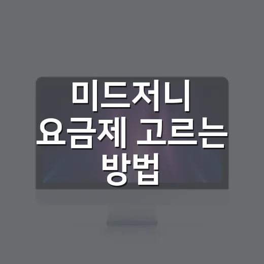 미드저니 요금제 고르는 방법: 초보자는 이렇게 계산하면 쉽습니다 - 요약