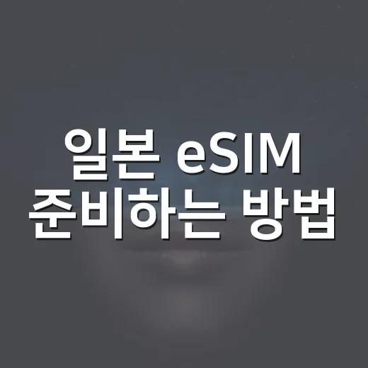 일본 eSIM 준비하는 방법: 공항에서 허둥대지 않으려면 이렇게 - 요약