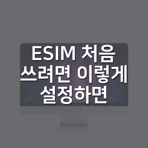 ESIM 처음 쓰려면 이렇게 설정하면 됩니다 - 요약