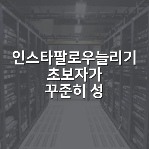 인스타팔로우늘리기 초보자가 꾸준히 성공하는 방법 - 요약