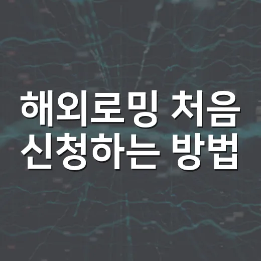 해외로밍 처음 신청하는 방법, 공항 가기 전에 이렇게 준비하세요 - 요약