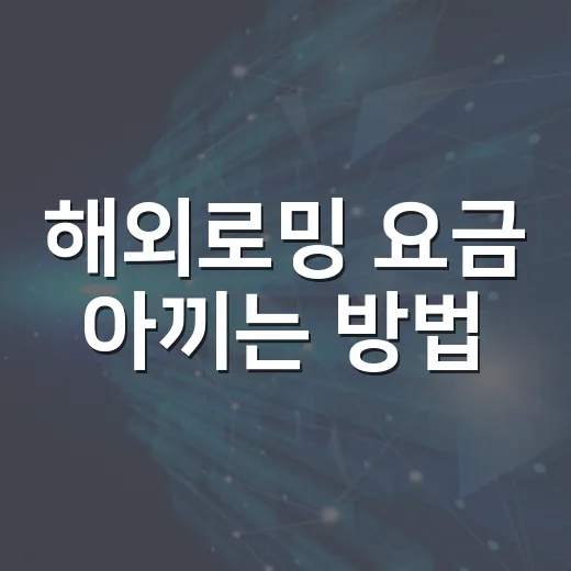 해외로밍 요금 아끼는 방법, 출국 전 이렇게 준비하세요 - 요약
