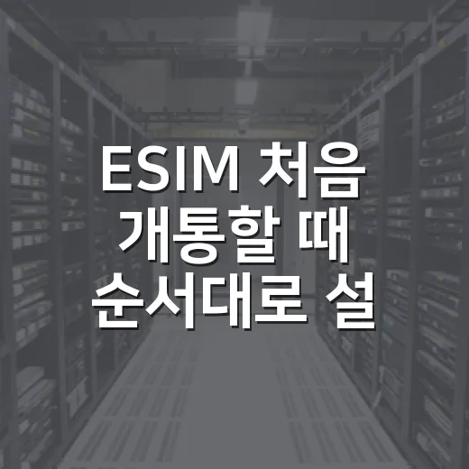 ESIM 처음 개통할 때 순서대로 설정하는 방법 - 요약
