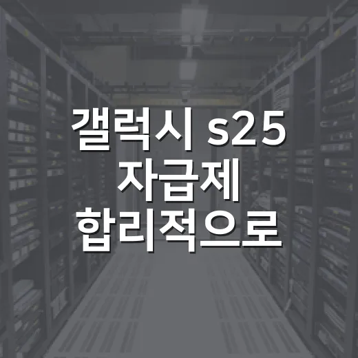 갤럭시 s25 자급제 합리적으로 사는 방법 - 요약
