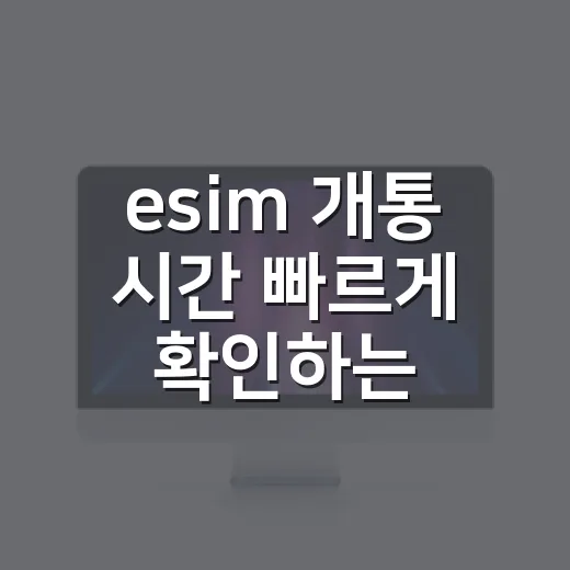esim 개통 시간 빠르게 확인하는 방법 - 요약