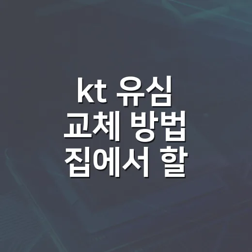 kt 유심 교체 방법 집에서 할 때와 매장 갈 때 - 요약