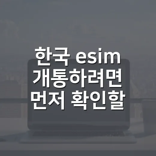 한국 esim 개통하려면 먼저 확인할 것들 - 요약