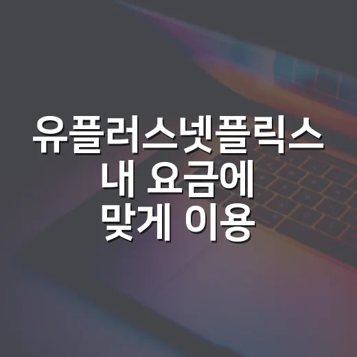 유플러스넷플릭스 내 요금에 맞게 이용하는 방법 - 요약