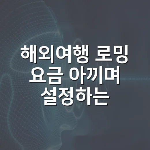 해외여행 로밍 요금 아끼며 설정하는 방법 - 요약