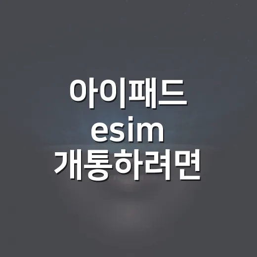 아이패드 esim 개통하려면 이렇게 준비하세요 - 요약