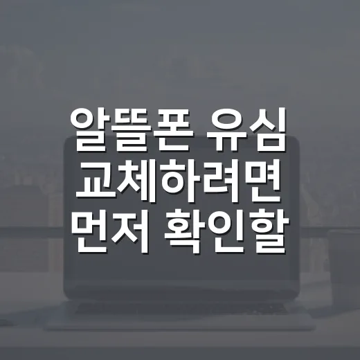 알뜰폰 유심 교체하려면 먼저 확인할 것들 - 요약