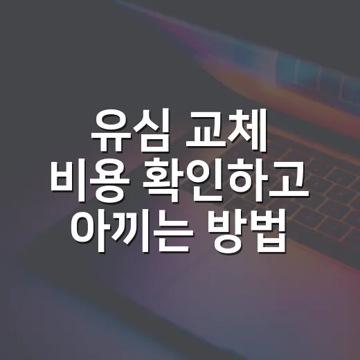 유심 교체 비용 확인하고 아끼는 방법 - 요약