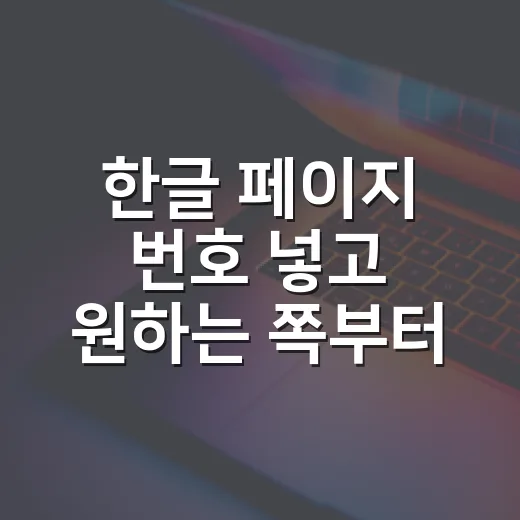 한글 페이지 번호 넣고 원하는 쪽부터 시작하는 방법 - 요약