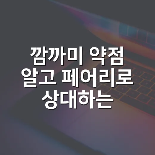 깜까미 약점 알고 페어리로 상대하는 방법 - 요약