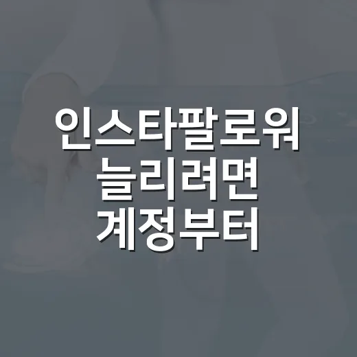 인스타팔로워 늘리려면 계정부터 이렇게 바꿔보세요 - 요약