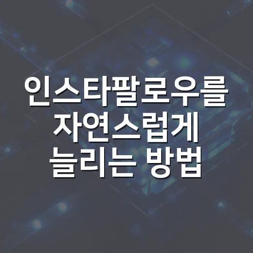 인스타팔로우를 자연스럽게 늘리는 방법 - 요약
