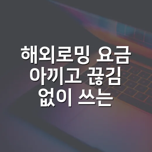 해외로밍 요금 아끼고 끊김 없이 쓰는 방법 - 요약