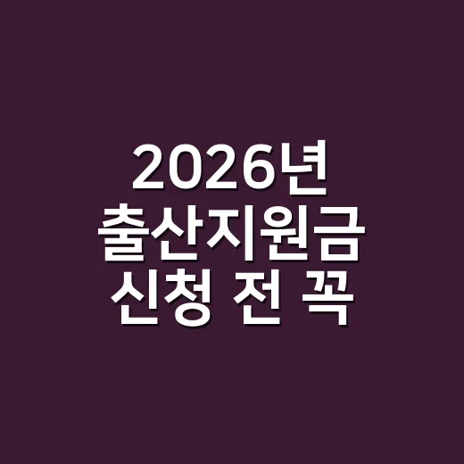 2026년 출산지원금 신청 전 꼭 확인할 5가지 조건 - 요약
