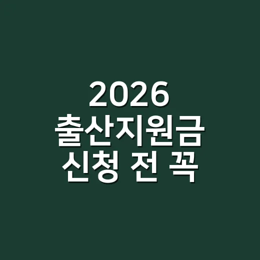 2026 출산지원금 신청 전 꼭 확인할 5가지 조건 - 요약